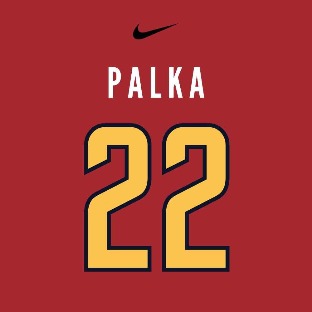 <strong class="sp-player-number">22</strong> Brock Palka